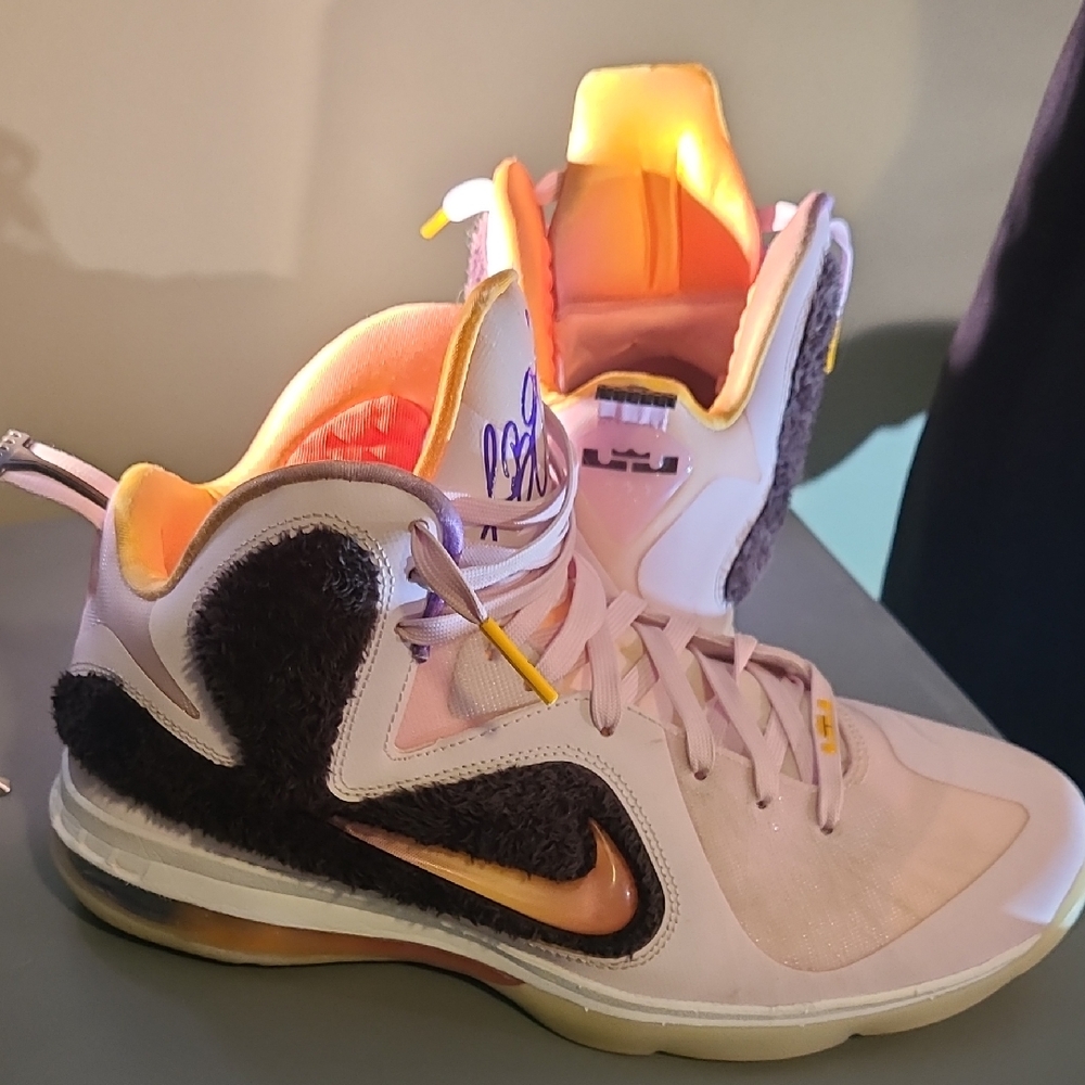 Nike LeBron James High-Top Basketball Sneakers with Pink/Brown Plush Size 9.5